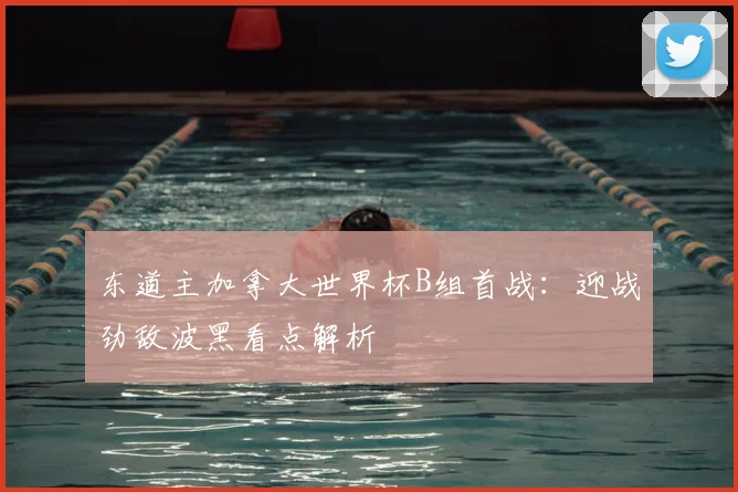 东道主加拿大世界杯B组首战：迎战劲敌波黑看点解析