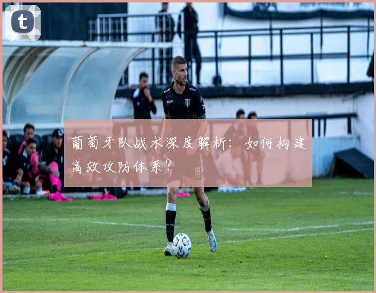 葡萄牙队战术深度解析:如何构建高效攻防体系?