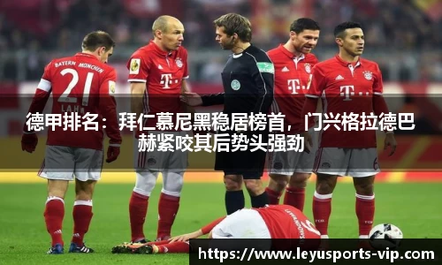 德甲排名：拜仁慕尼黑稳居榜首，门兴格拉德巴赫紧咬其后势头强劲